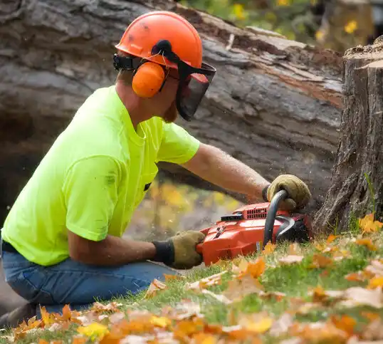 tree services Conover